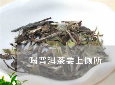 喝普洱茶要上厕所/2023041298474