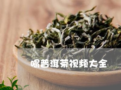 喝普洱茶视频大全/2023041015050