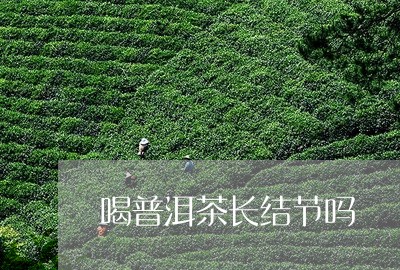 喝普洱茶长结节吗/2023041385369