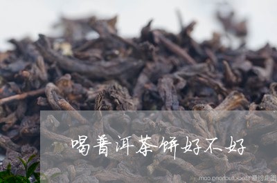 喝普洱茶饼好不好/2023033151685