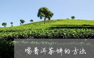 喝普洱茶饼的方法/2023041254136