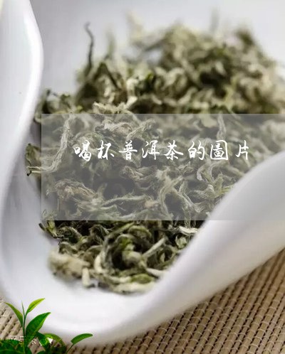 喝杯普洱茶的图片/2023040959370