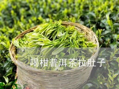 喝柑普洱茶拉肚子/2023041418482