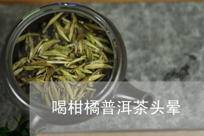 喝柑橘普洱茶头晕/2023040908281