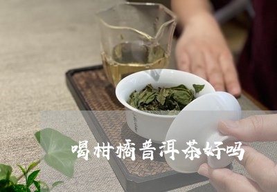 喝柑橘普洱茶好吗/2023041002613