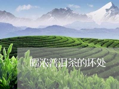 喝浓普洱茶的坏处/2023031895049