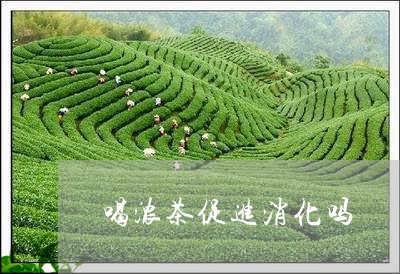 喝浓茶促进消化吗/2023032206260