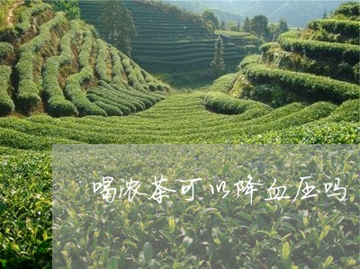 喝浓茶可以降血压吗/2023041435957