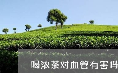 喝浓茶对血管有害吗/2023041463625