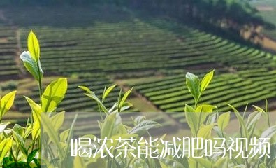 喝浓茶能减肥吗视频/2023041472606