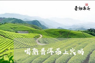 喝熟普洱茶上火吗/2023031781725