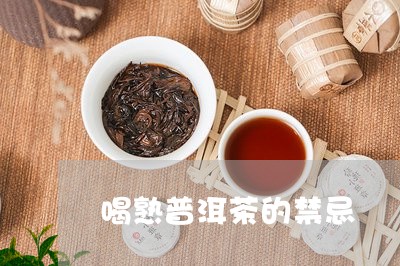 喝熟普洱茶的禁忌/2023041369371