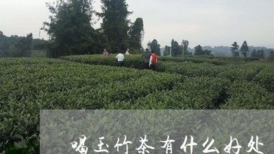 喝玉竹茶有什么好处/2023041554068