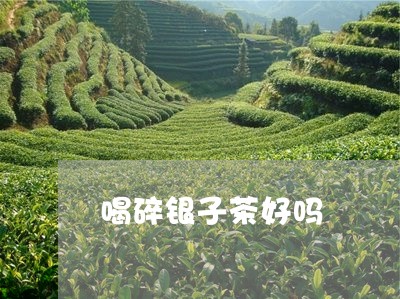 喝碎银子茶好吗/2023041644160