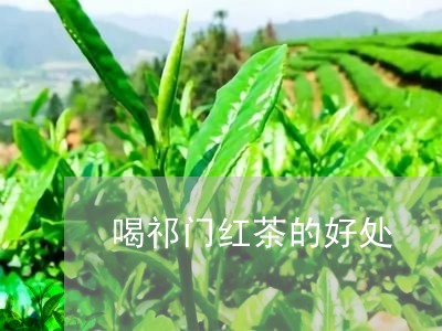 喝祁门红茶的好处/2023032597271