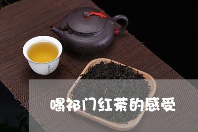 喝祁门红茶的感受/2023032482615