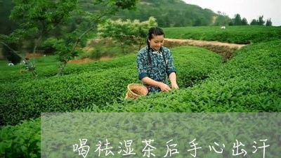 喝祛湿茶后手心出汗/2023031897381