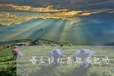 喝立顿红茶能减肥吗/2023031946352