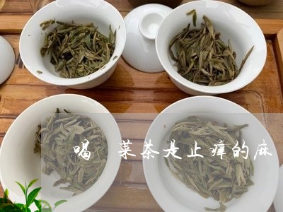 喝簕菜茶是止痒的麻/2023031804835