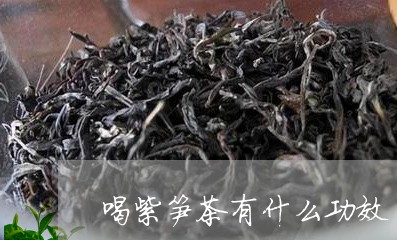 喝紫笋茶有什么功效/2023041522825