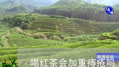 喝红茶会加重痔疮吗/2023041551615