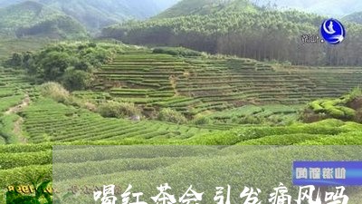 喝红茶会引发痛风吗/2023041595917