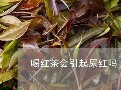 喝红茶会引起尿红吗/2023031902503