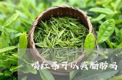 喝红茶可以减脂肪吗/2023031969492