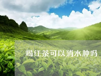 喝红茶可以消水肿吗/2023041566959