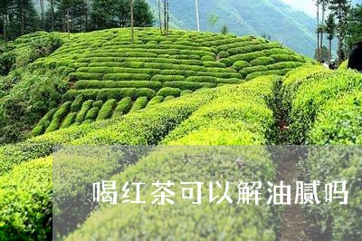 喝红茶可以解油腻吗/2023041582647