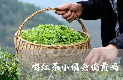 喝红茶小便会偏黄吗/2023031904894