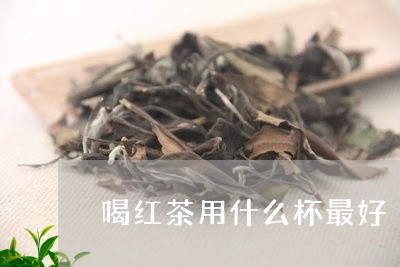 喝红茶用什么杯最好/2023041585136