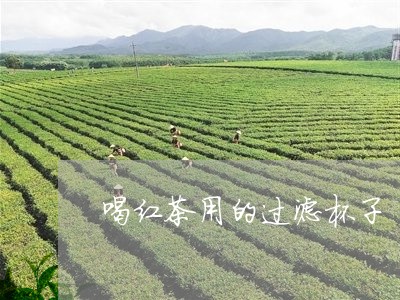 喝红茶用的过滤杯子/2023041559715