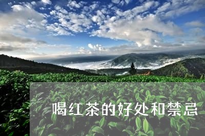 喝红茶的好处和禁忌/2023032129192