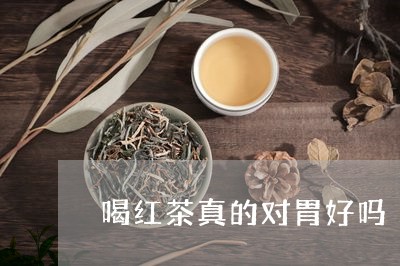 喝红茶真的对胃好吗/2023041558282