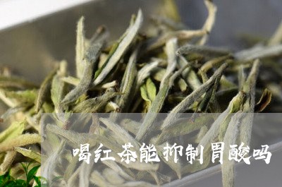 喝红茶能抑制胃酸吗/2023041579717