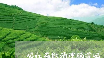 喝红茶能清理肠道吗/2023041537170