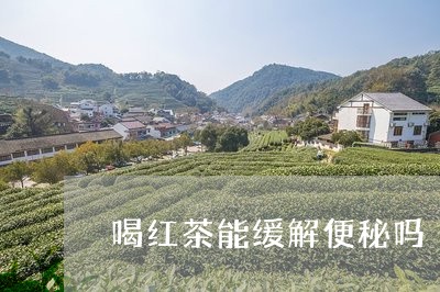 喝红茶能缓解便秘吗/2023041593959