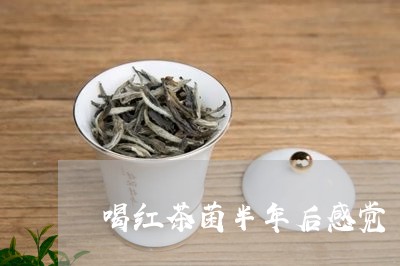 喝红茶菌半年后感觉/2023041668384