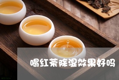 喝红茶除湿效果好吗/2023041567380