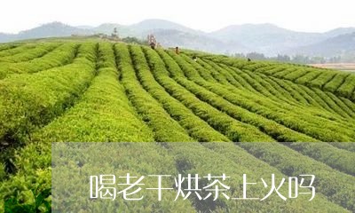 喝老干烘茶上火吗/2023032291506