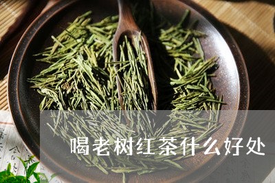 喝老树红茶什么好处/2023041586149