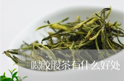 喝胶股茶有什么好处/2023041553648