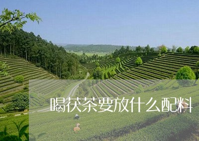 喝茯茶要放什么配料/2023031870683