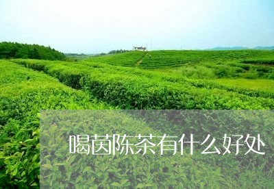 喝茵陈茶有什么好处/2023032000793