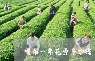 喝茶一年花费多少钱/2023041648572