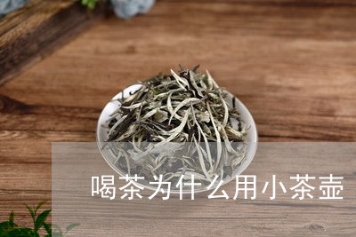 喝茶为什么用小茶壶/2023032091927