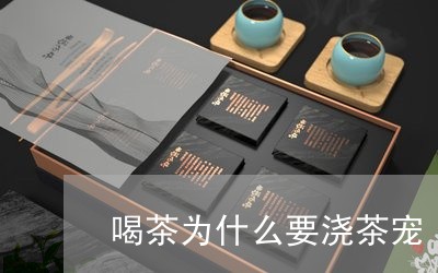 喝茶为什么要浇茶宠/2023041690595