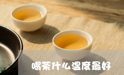 喝茶什么温度最好/2023032434715