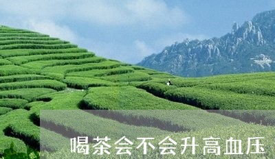 喝茶会不会升高血压/2023041660593